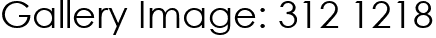 Gallery Image: 312 1218