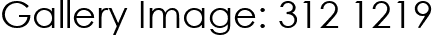 Gallery Image: 312 1219