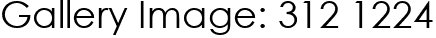 Gallery Image: 312 1224
