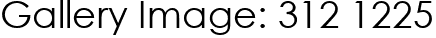 Gallery Image: 312 1225