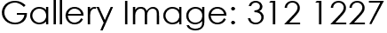 Gallery Image: 312 1227