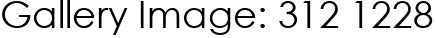 Gallery Image: 312 1228