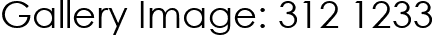 Gallery Image: 312 1233