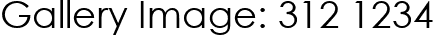 Gallery Image: 312 1234