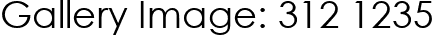 Gallery Image: 312 1235