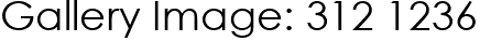 Gallery Image: 312 1236
