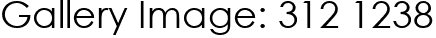 Gallery Image: 312 1238