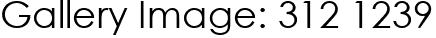Gallery Image: 312 1239