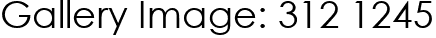 Gallery Image: 312 1245