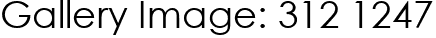 Gallery Image: 312 1247