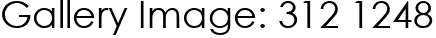 Gallery Image: 312 1248