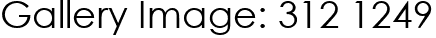 Gallery Image: 312 1249