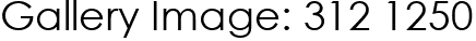 Gallery Image: 312 1250