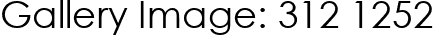 Gallery Image: 312 1252