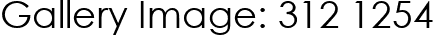 Gallery Image: 312 1254