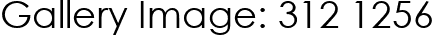 Gallery Image: 312 1256