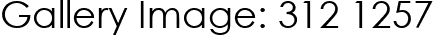 Gallery Image: 312 1257