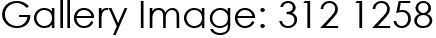 Gallery Image: 312 1258