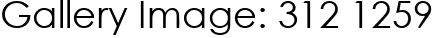 Gallery Image: 312 1259