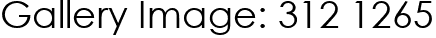 Gallery Image: 312 1265