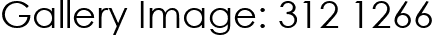 Gallery Image: 312 1266