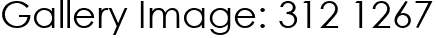 Gallery Image: 312 1267