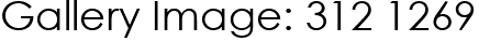 Gallery Image: 312 1269