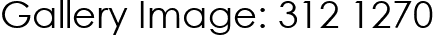 Gallery Image: 312 1270