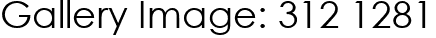 Gallery Image: 312 1281