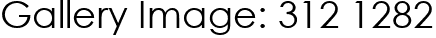 Gallery Image: 312 1282