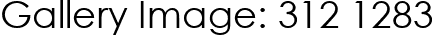 Gallery Image: 312 1283