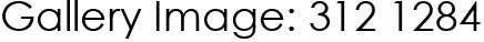Gallery Image: 312 1284