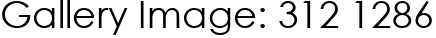 Gallery Image: 312 1286