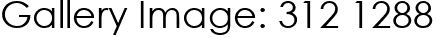 Gallery Image: 312 1288