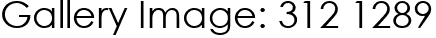 Gallery Image: 312 1289