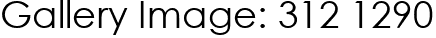 Gallery Image: 312 1290