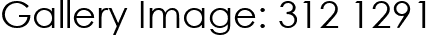 Gallery Image: 312 1291