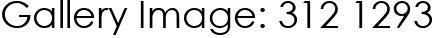 Gallery Image: 312 1293