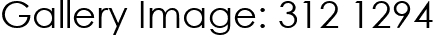 Gallery Image: 312 1294