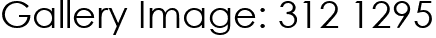 Gallery Image: 312 1295