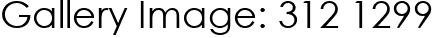 Gallery Image: 312 1299