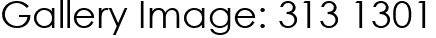 Gallery Image: 313 1301