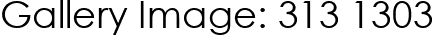 Gallery Image: 313 1303