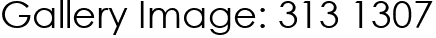 Gallery Image: 313 1307