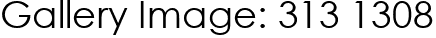 Gallery Image: 313 1308