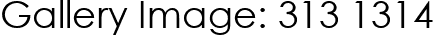 Gallery Image: 313 1314