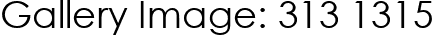 Gallery Image: 313 1315