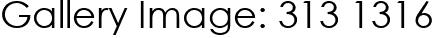 Gallery Image: 313 1316