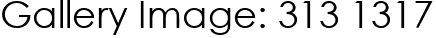 Gallery Image: 313 1317