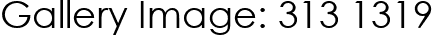 Gallery Image: 313 1319